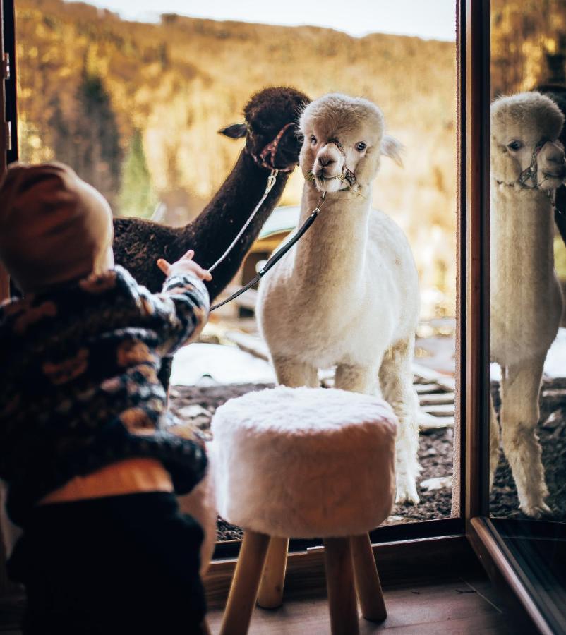 Vila Dychnij Se Szczyrk Exteriér fotografie